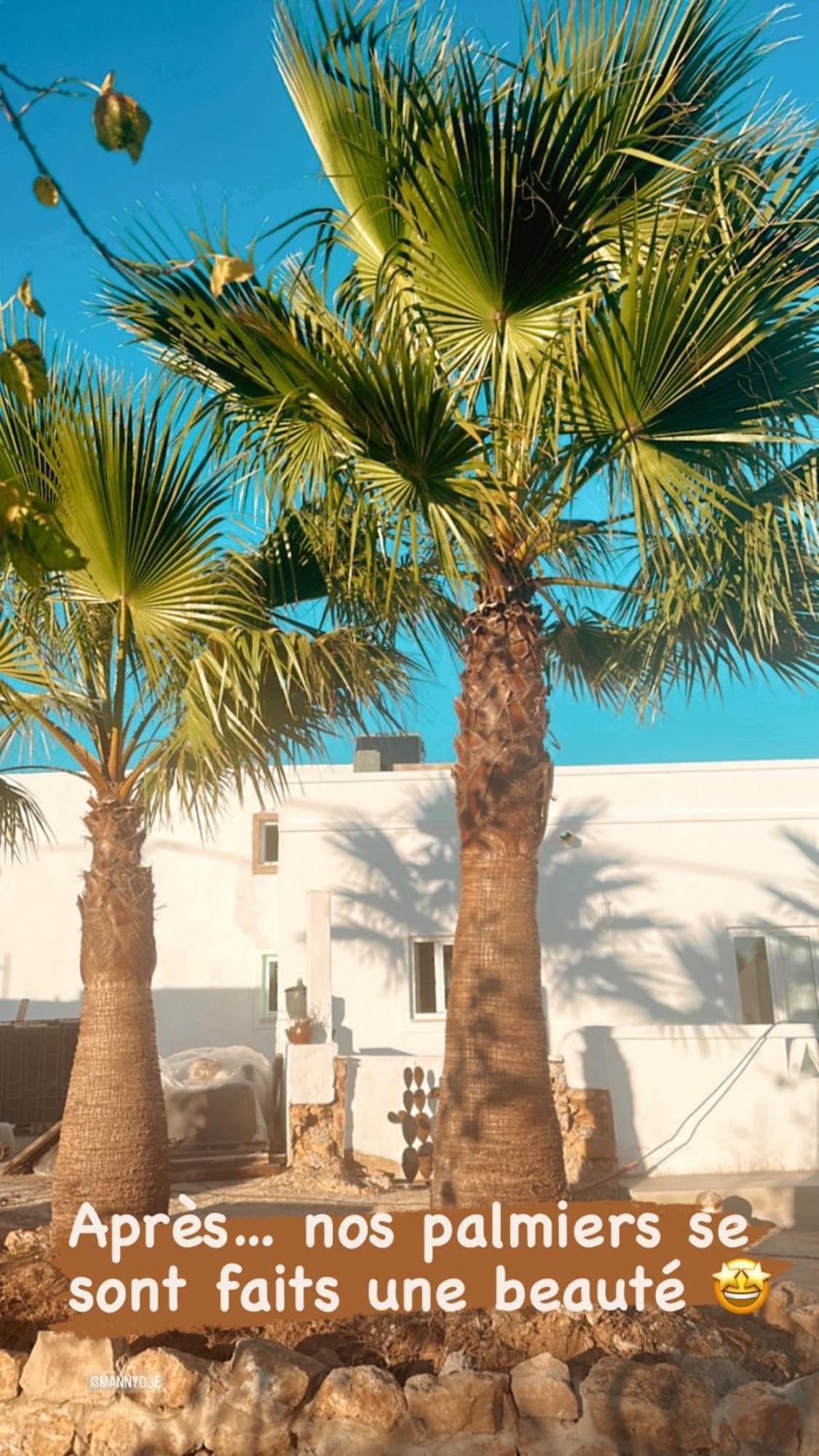 Вилла La Quinta Da Liberdade - Ferme De Charme En Algarve Pechao Экстерьер фото