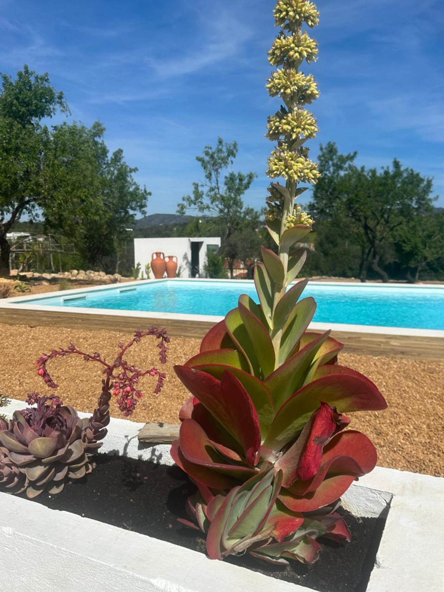 Вилла La Quinta Da Liberdade - Ferme De Charme En Algarve Pechao Экстерьер фото