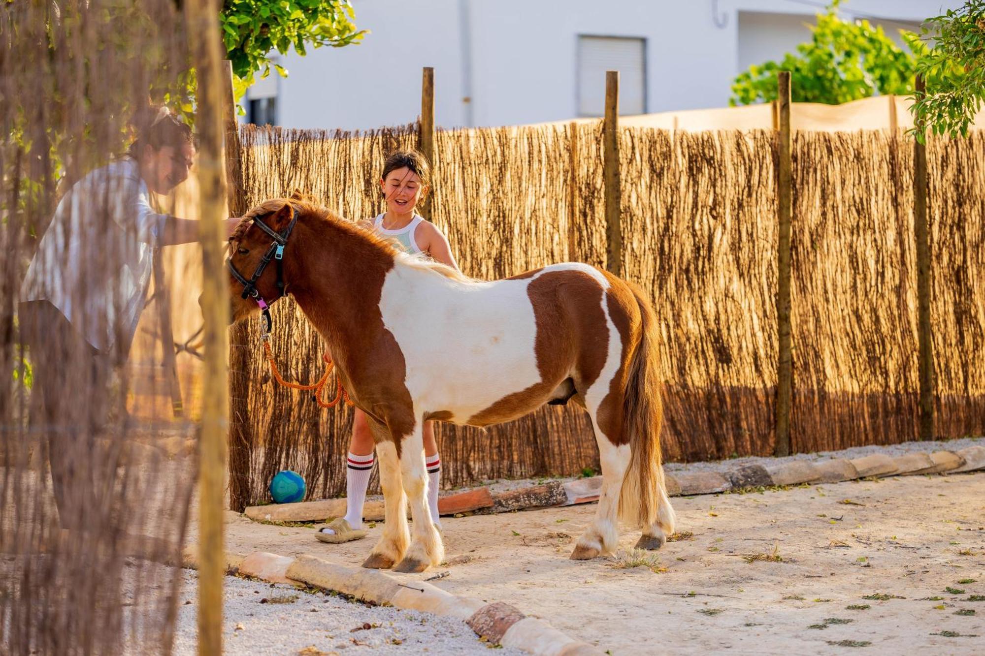 Вилла La Quinta Da Liberdade - Ferme De Charme En Algarve Pechao Экстерьер фото
