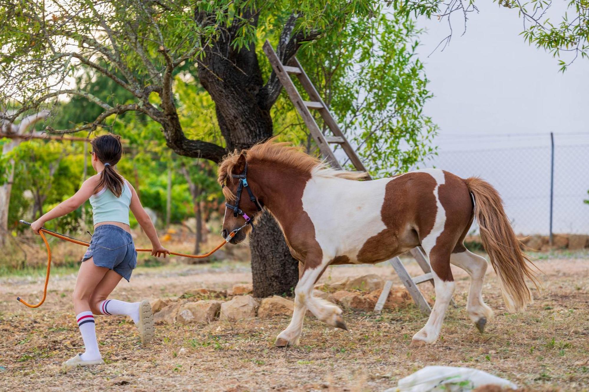 Вилла La Quinta Da Liberdade - Ferme De Charme En Algarve Pechao Экстерьер фото