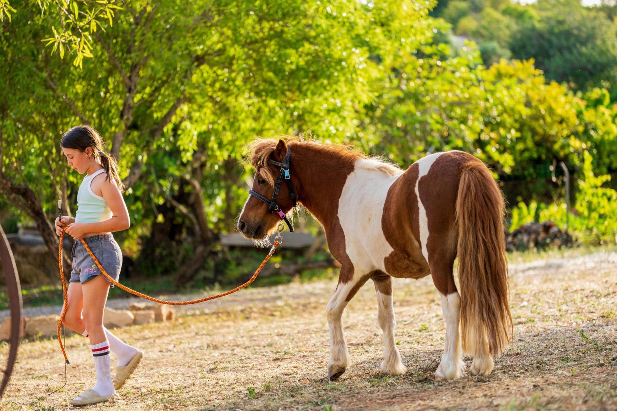Вилла La Quinta Da Liberdade - Ferme De Charme En Algarve Pechao Экстерьер фото